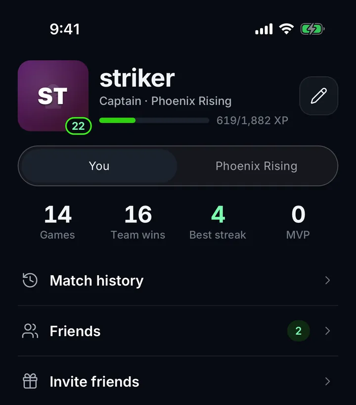 A player profile with matches, team wins, best streak and MVPs